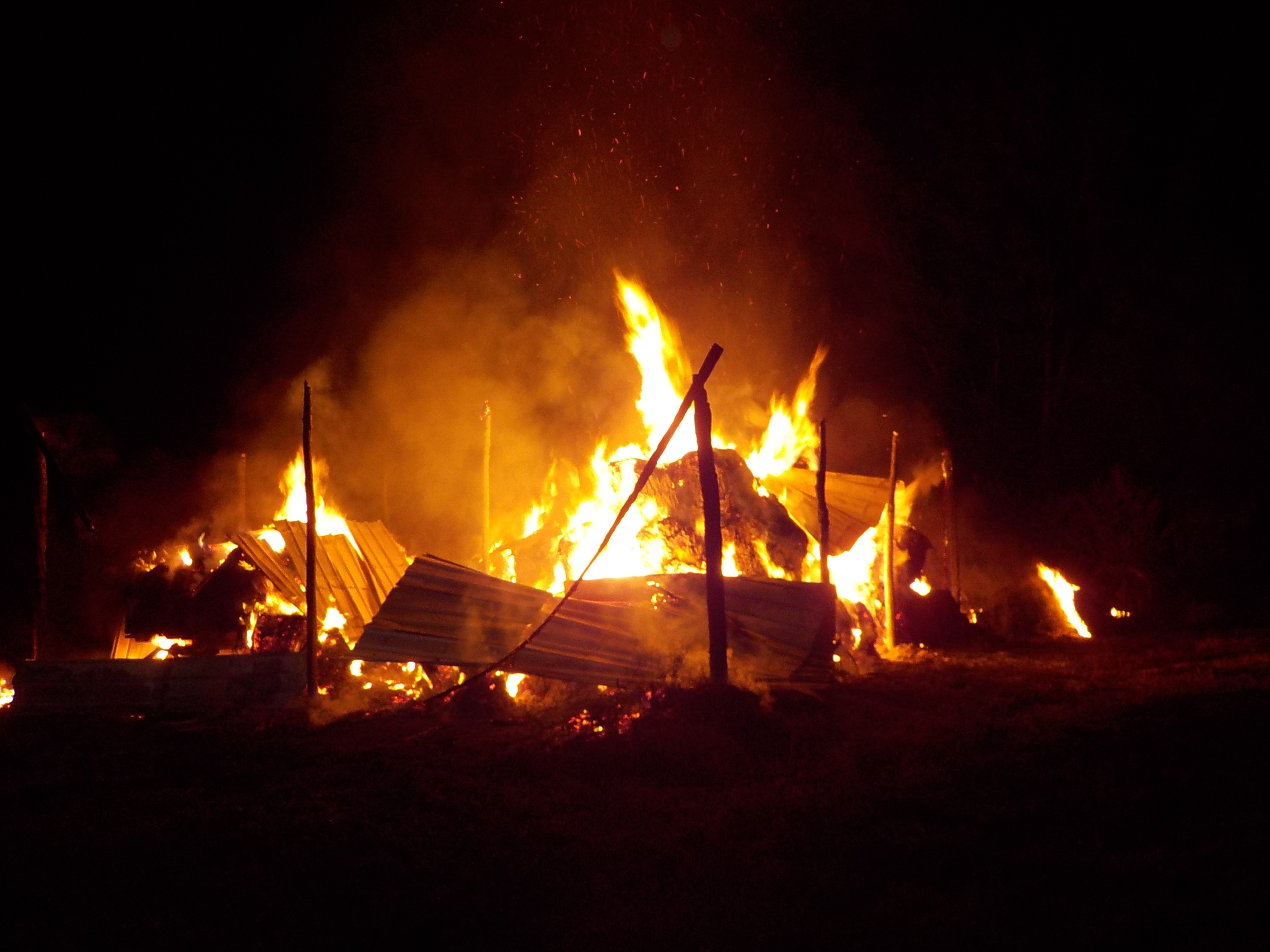 dscn5685.jpg