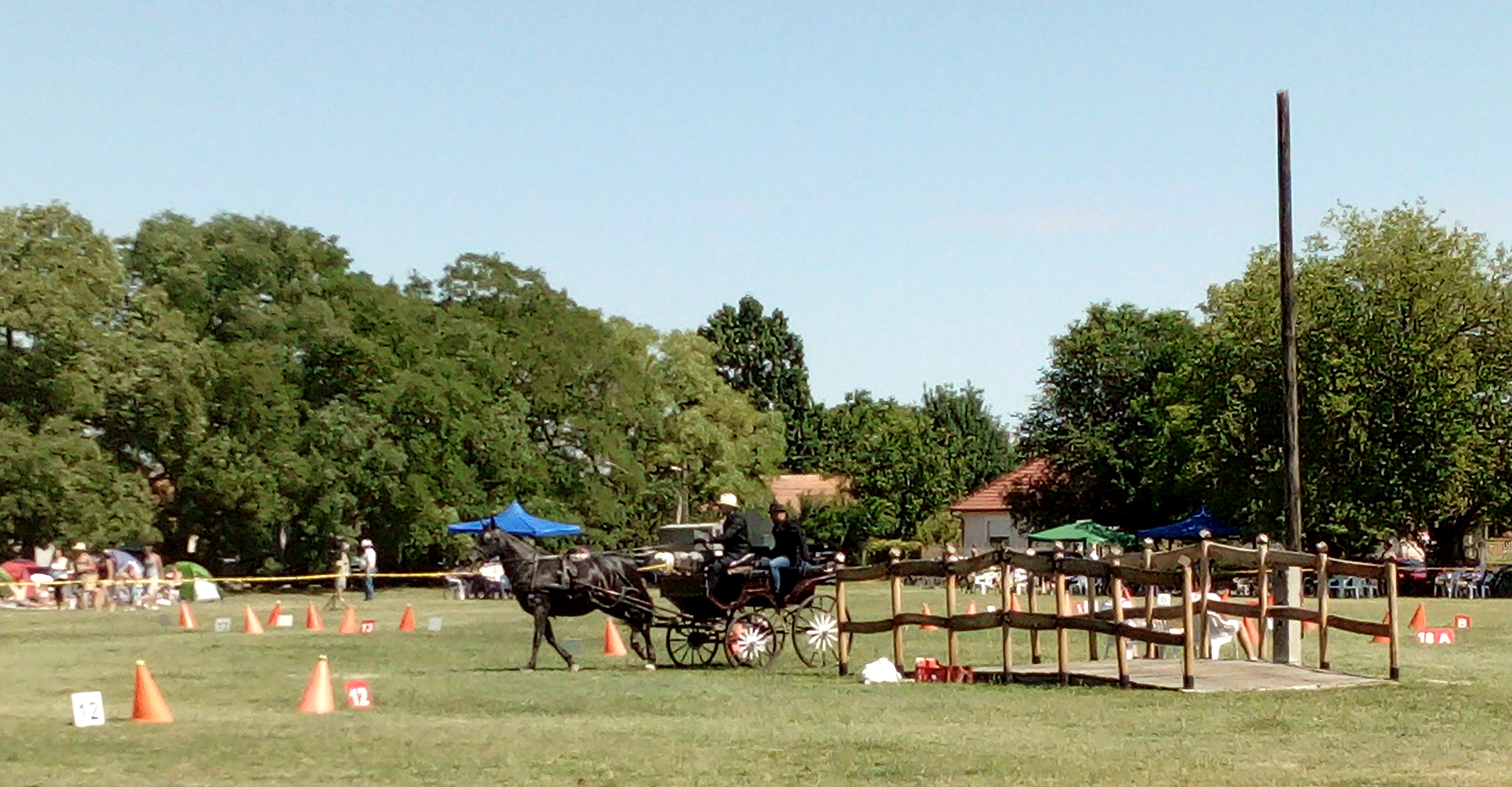 img_20190706_104401.jpg