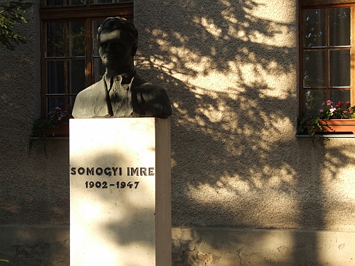 DSCF6661.JPG