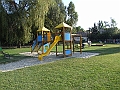 DSCF6629