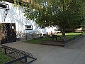 DSCF6643