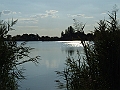 DSCF6646