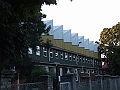 DSCF6708