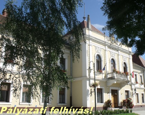 Pályázat